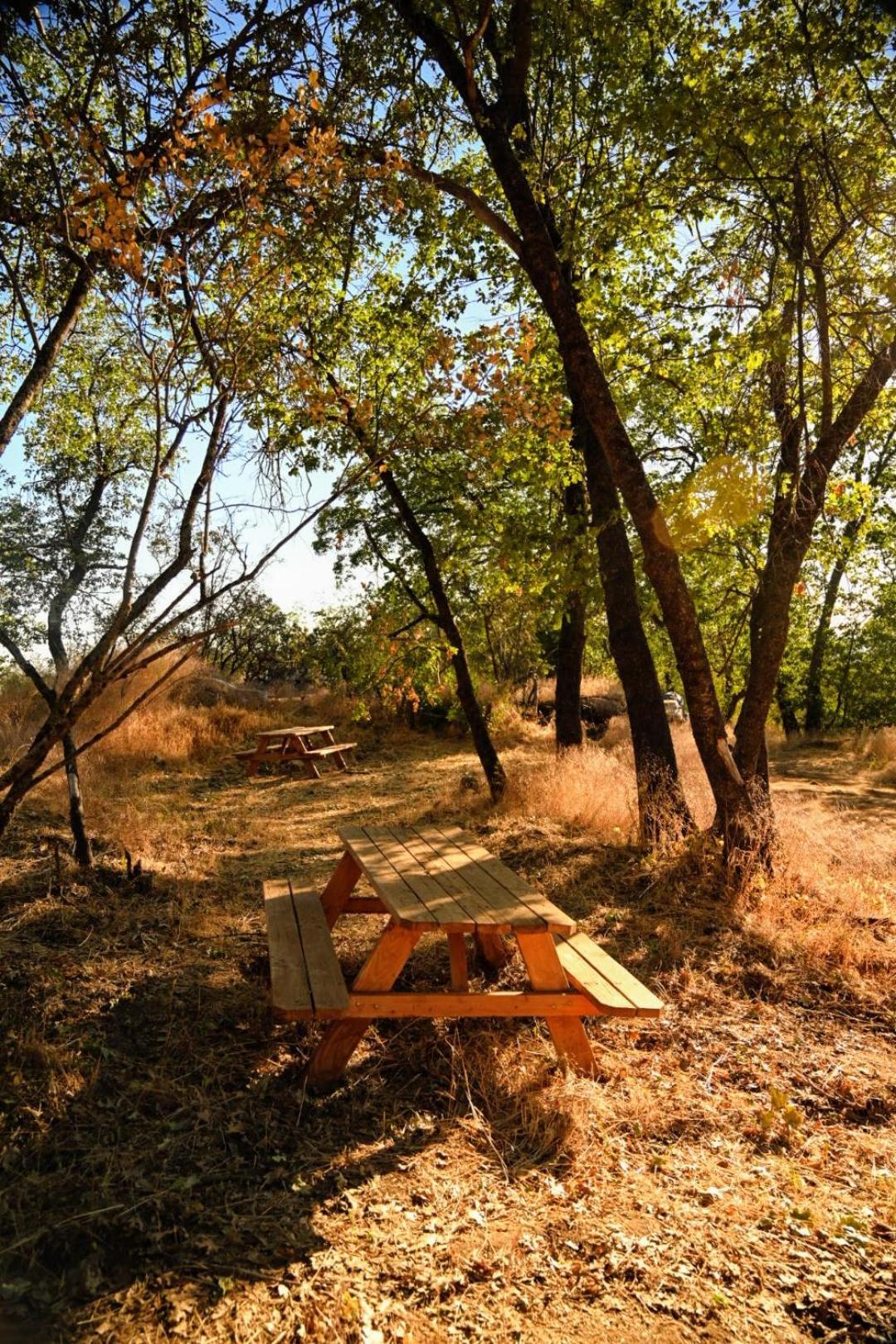 Campground At Sequoia Mountain Farms - Bring Your Own Tent Or Rv - No Bedrooms Or Beds Provided Miramonte エクステリア 写真